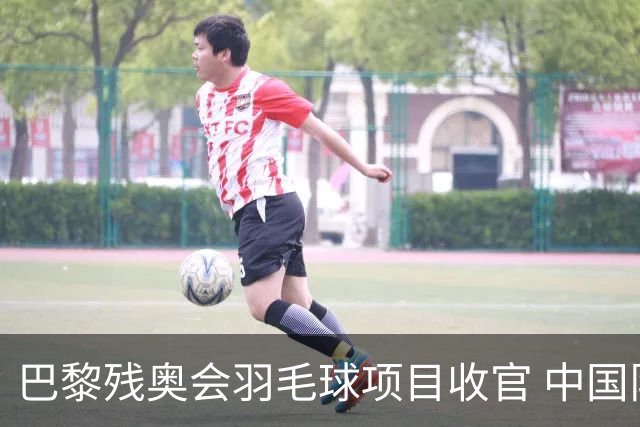 巴黎残奥会羽毛球项目收官 中国队斩获9金2银1铜