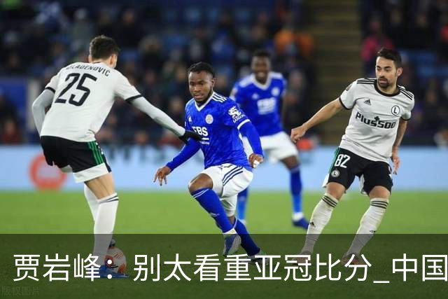 贾岩峰：别太看重亚冠比分 中国足球活着更重要